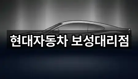 현대자동차 보성대리점