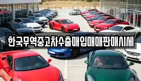 강원 동해시 지흥동 중고차 전문 한국무역중고차수출매입매매판매시세
