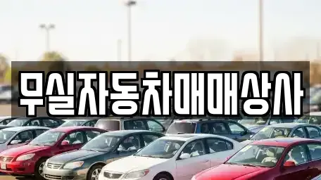 강원 원주시 단계동 중고차 전문 무실자동차매매상사