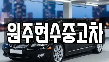 강원 원주시 중고차매매 전문 원주현수중고차