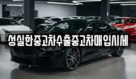 강원 원주시 중고차매입 전문 성실한중고차수출중고차매입시세