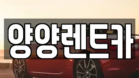 강원특별자치도 렌트카 전문 양양렌트카