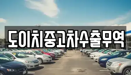 강원특별자치도 양구군 국토정중앙면 중고차매매 전문 도이치중고차수출무역