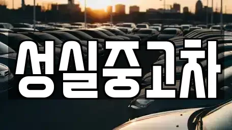 강원특별자치도 양구군 국토정중앙면 중고차매매,단기렌트카,중고차매입,장기렌트카,중고차,렌트카