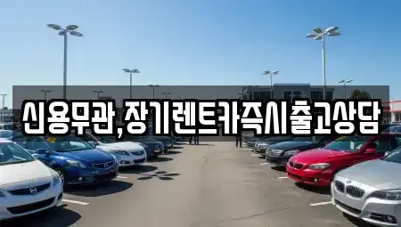 강원특별자치도 장기렌트카 전문 신용무관,장기렌트카즉시출고상담