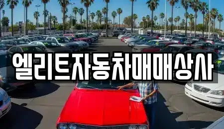 강원특별자치도 중고차 전문 엘리트자동차매매상사