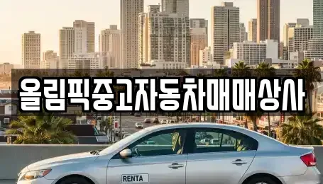 강원특별자치도 중고차 전문 올림픽중고자동차매매상사