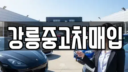 강원특별자치도 중고차매입 전문 강릉중고차매입