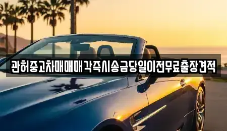 강원특별자치도 춘천시 사북면 중고차매매 전문 관허중고차매매매각즉시송금당일이전무료출장견적