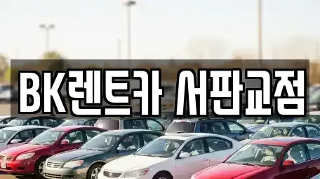 경기 성남시 분당구 석운동 렌트카 전문 BK렌트카 서판교점