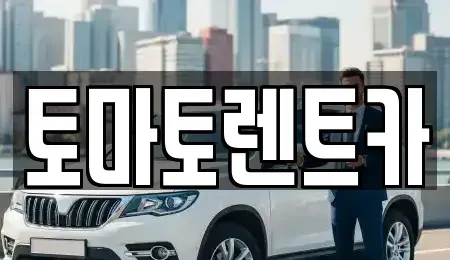 경기 성남시 분당구 석운동 렌트카 전문 토마토렌트카