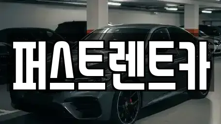 경기 성남시 분당구 석운동 렌트카 전문 퍼스트렌트카