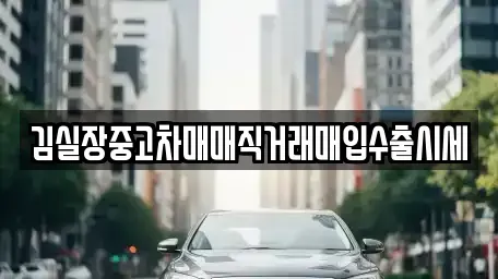 경기 성남시 분당구 석운동 중고차매매,단기렌트카,중고차매입,장기렌트카,중고차,렌트카