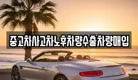 경기 수원시 권선구 금곡동 중고차매매 전문 중고차사고차노후차량수출차량매입