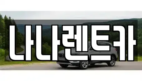 경기 시흥시 장곡동 렌트카 전문 나나렌트카