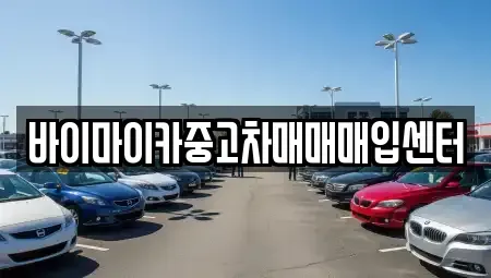 경기 시흥시 장곡동 중고차 전문 바이마이카중고차매매매입센터