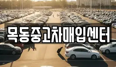 경기 시흥시 장곡동 중고차매입 전문 목동중고차매입센터
