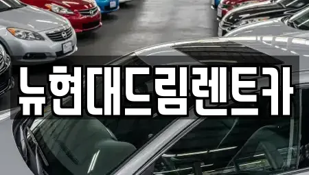 경기 안산시 단원구 대부북동 렌트카 전문 뉴현대드림렌트카