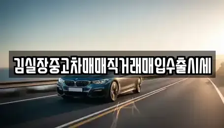 경기 안산시 단원구 대부북동 중고차 전문 김실장중고차매매직거래매입수출시세