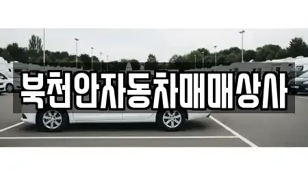경기 안성시 서운면 중고차 전문 북천안자동차매매상사