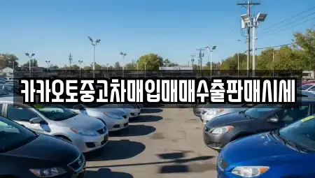 경기 안성시 서운면 중고차매입 전문 카카오토중고차매입매매수출판매시세