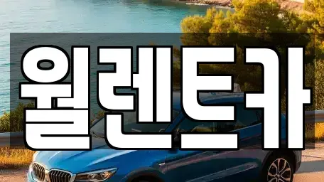경기 안성시 신건지동 렌트카 전문 월렌트카