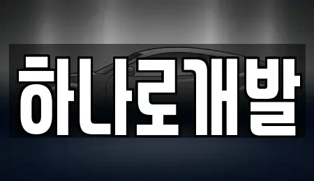 경기 안성시 신건지동 렌트카 전문 하나로개발