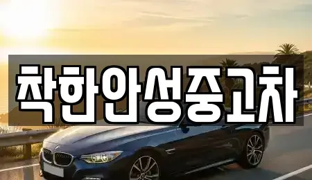 경기 안성시 신건지동 중고차 전문 착한안성중고차