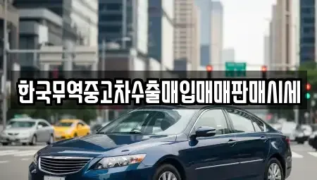 경기 안성시 신건지동 중고차매매 전문 한국무역중고차수출매입매매판매시세