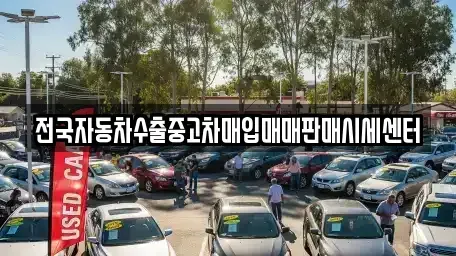경기 여주시 매룡동 중고차매입 전문 전국자동차수출중고차매입매매판매시세센터