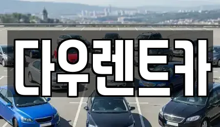 경기 여주시 북내면 렌트카 전문 다우렌트카