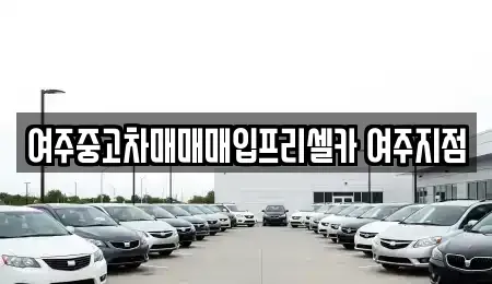 경기 여주시 신진동 중고차 전문 여주중고차매매매입프리셀카 여주지점