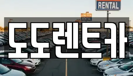경기 용인시 기흥구 서천동 렌트카 전문 도도렌트카