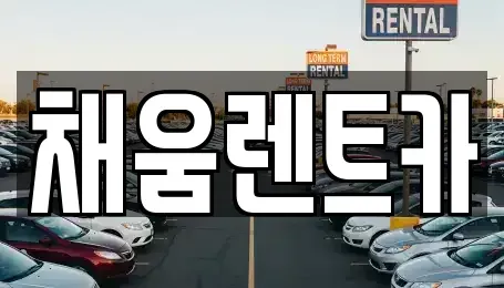 경기 용인시 기흥구 서천동 렌트카 전문 채움렌트카
