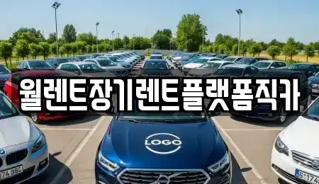경기 용인시 기흥구 서천동 장기렌트카 전문 월렌트장기렌트플랫폼직카