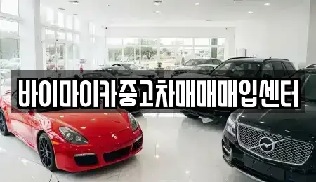 경기 용인시 기흥구 서천동 중고차 전문 바이마이카중고차매매매입센터