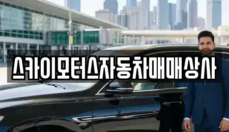 경기 용인시 기흥구 서천동 중고차 전문 스카이모터스자동차매매상사