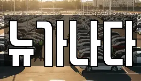 경기 파주시 당하동 렌트카 전문 뉴가나다