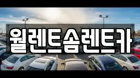 경기 파주시 당하동 렌트카 전문 월렌트솜렌트카