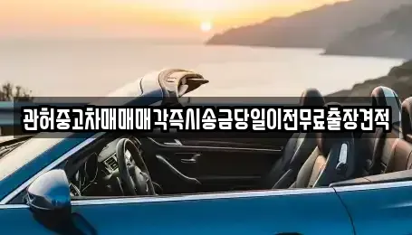 경기 파주시 문발동 중고차매매 전문 관허중고차매매매각즉시송금당일이전무료출장견적