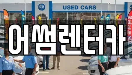 경기 파주시 조리읍 장기렌트카 전문 어썸렌터카