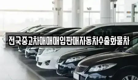 경기 파주시 조리읍 중고차 전문 전국중고차매매매입판매자동차수출화물차