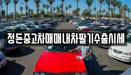 경기 파주시 조리읍 중고차 전문 정든중고차매매내차팔기수출시세