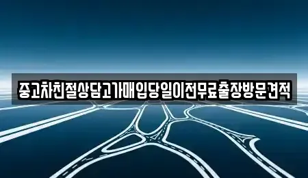 경기 파주시 조리읍 중고차 전문 중고차친절상담고가매입당일이전무료출장방문견적