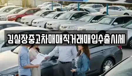 경기 파주시 조리읍 중고차매입 전문 김실장중고차매매직거래매입수출시세