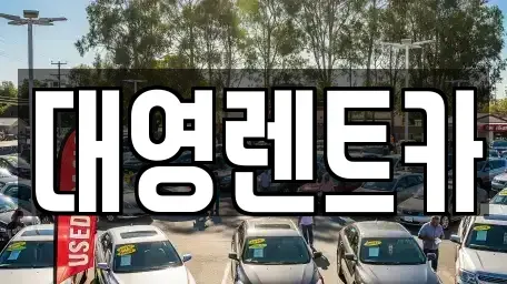 경기도 고양시 덕양구 용두동 장기렌트카 전문 대영렌트카