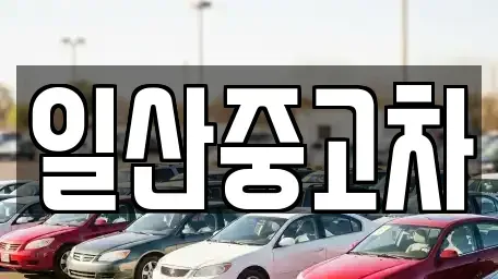 경기도 고양시 덕양구 용두동 중고차매매 전문 일산중고차