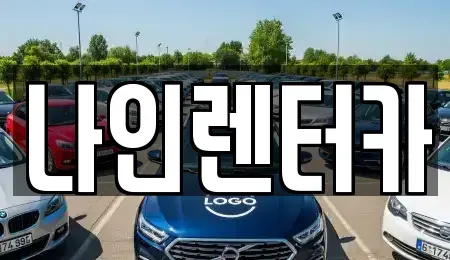 경기도 고양시 일산동구 정발산동 렌트카 전문 나인렌터카