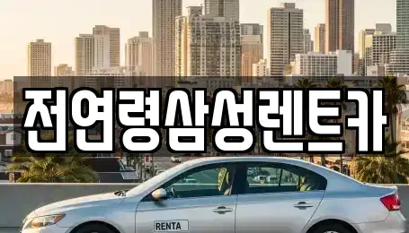 경기도 고양시 일산동구 정발산동 렌트카 전문 전연령삼성렌트카