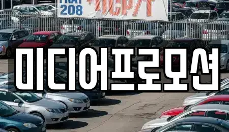 경기도 고양시 일산동구 정발산동 장기렌트카 전문 미디어프로모션